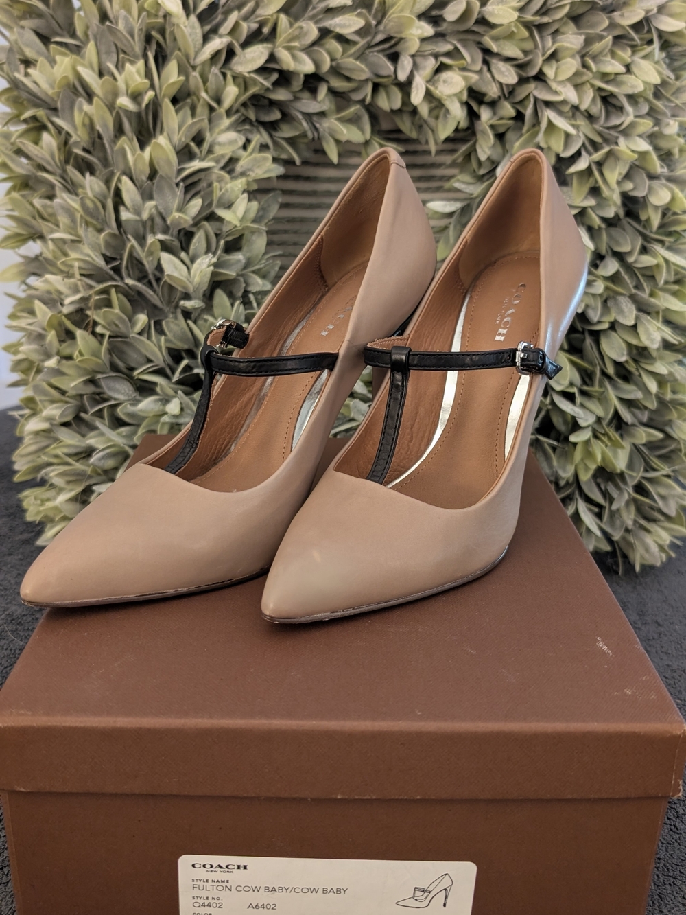 Coach Nude Pointed-Toe T-Strap Pumps